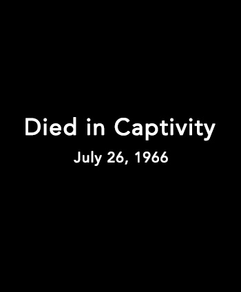 Black rectangle with text inside that says 'Died in Captivity, July 26, 1966.'