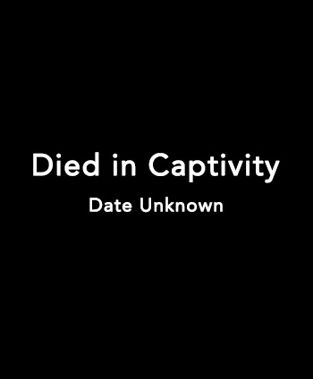 Black rectangle with text inside that says 'Died in Captivity, Date Unknown.’